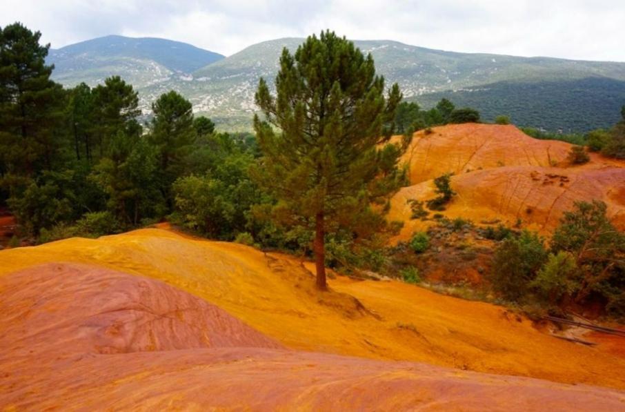 Appartamento Le Petit Pied A Terre Du Luberon Mérindol Esterno foto